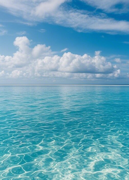 睫状肌缓解训练-高级版